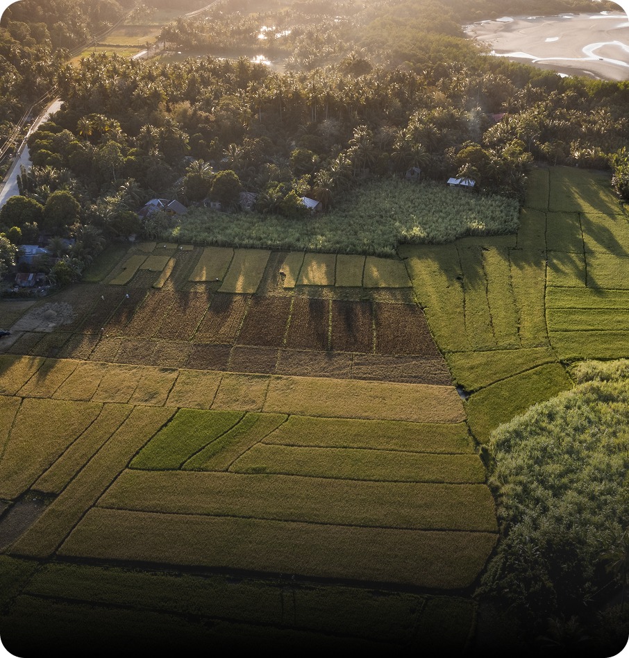 Agricultural Land