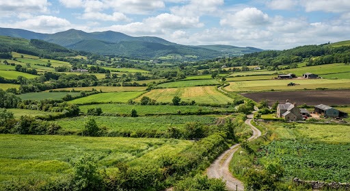 Green farmland in the countryside