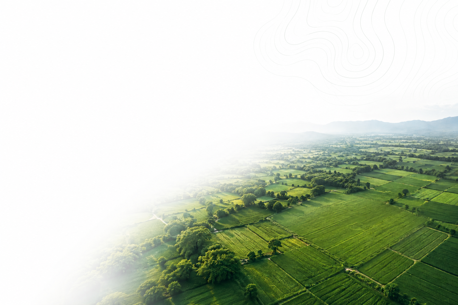 Verified lands background