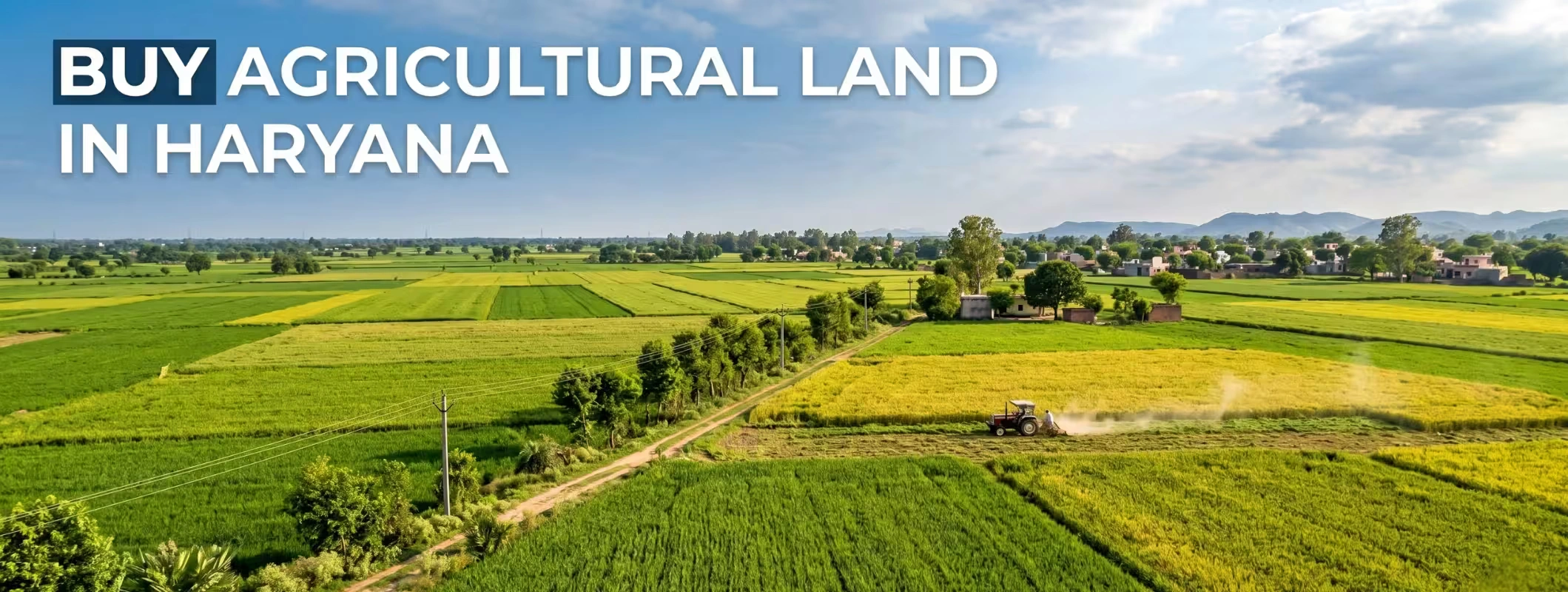 haryana land purchase rules
