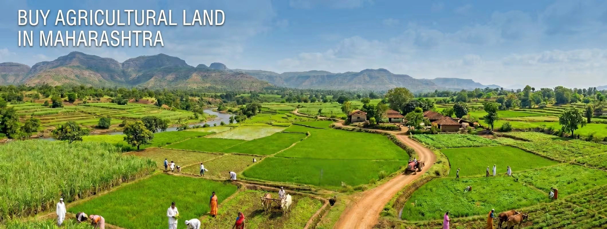 buy agricultural land Maharashtra