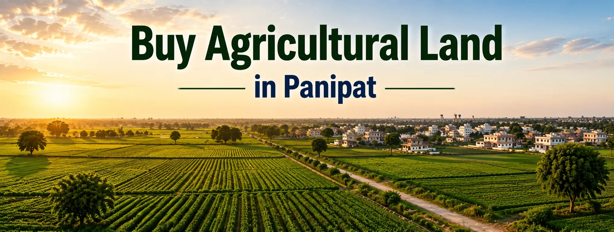 Panipat Land Investment