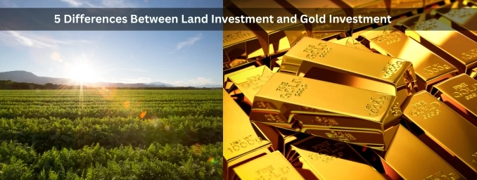 land investment vs gold investment