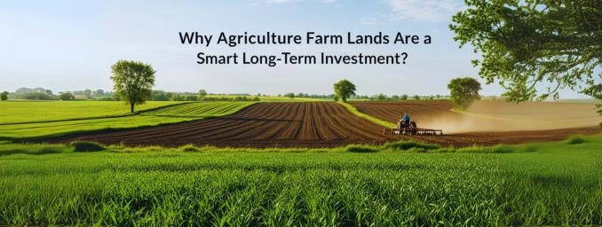 Why Agriculture Farm Lands Are a Smart Long-Term Investment?
