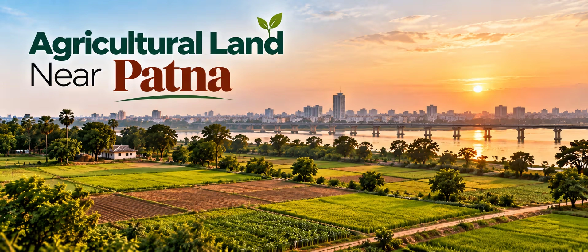 agricultural land near Patna
