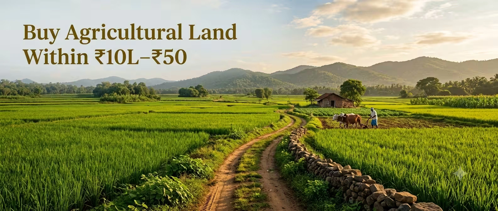 Agricultural Land in India