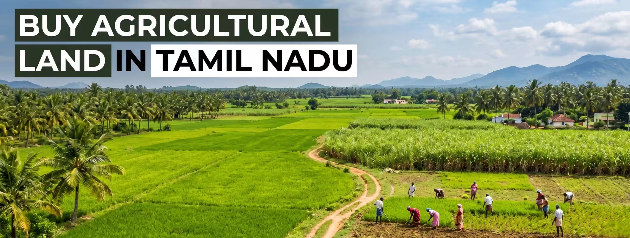Tamil Nadu land rules