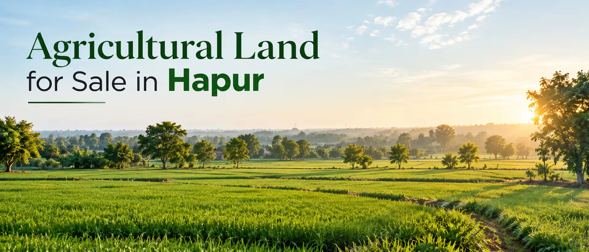 agricultural land for sale in hapur