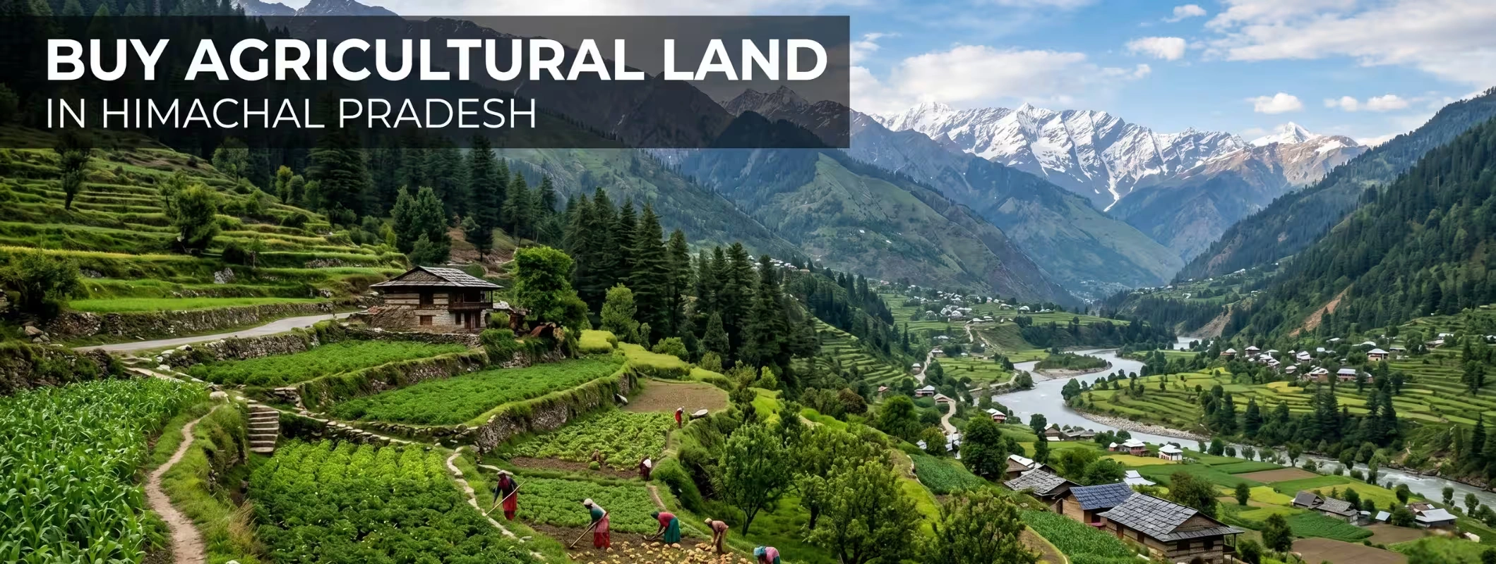 land buying rules in himachal pradesh