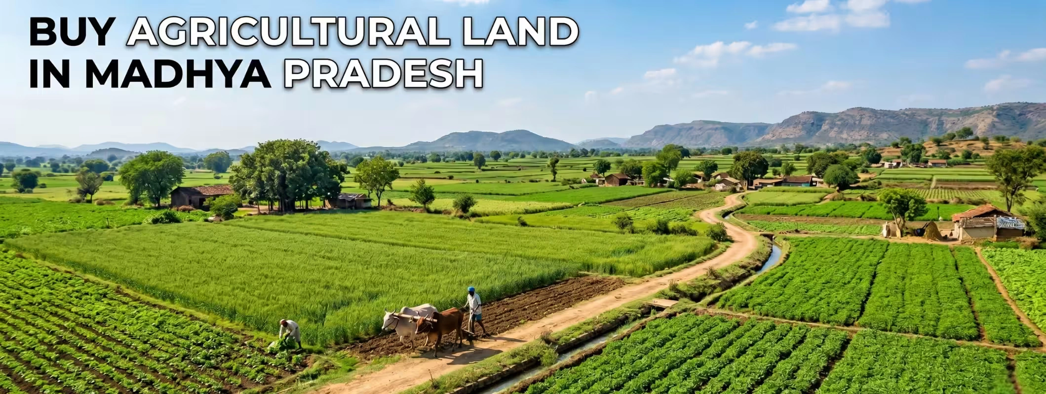 madhya pradesh land buying guide