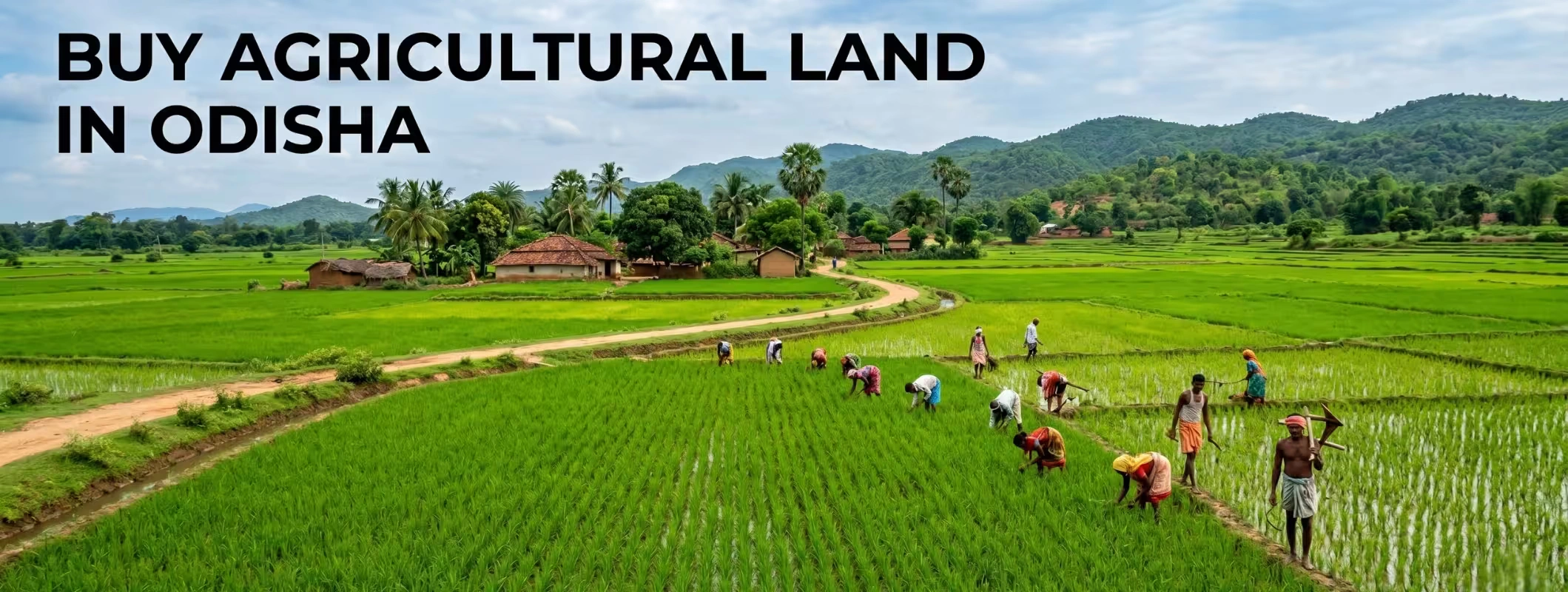 odisha agricultural land rules