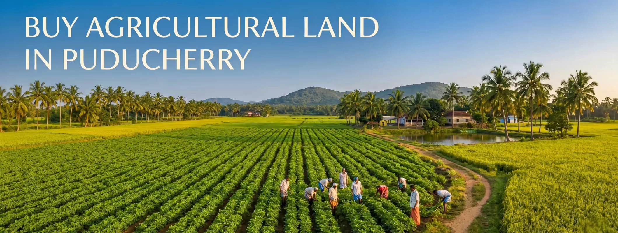 puducherry agricultural land rules