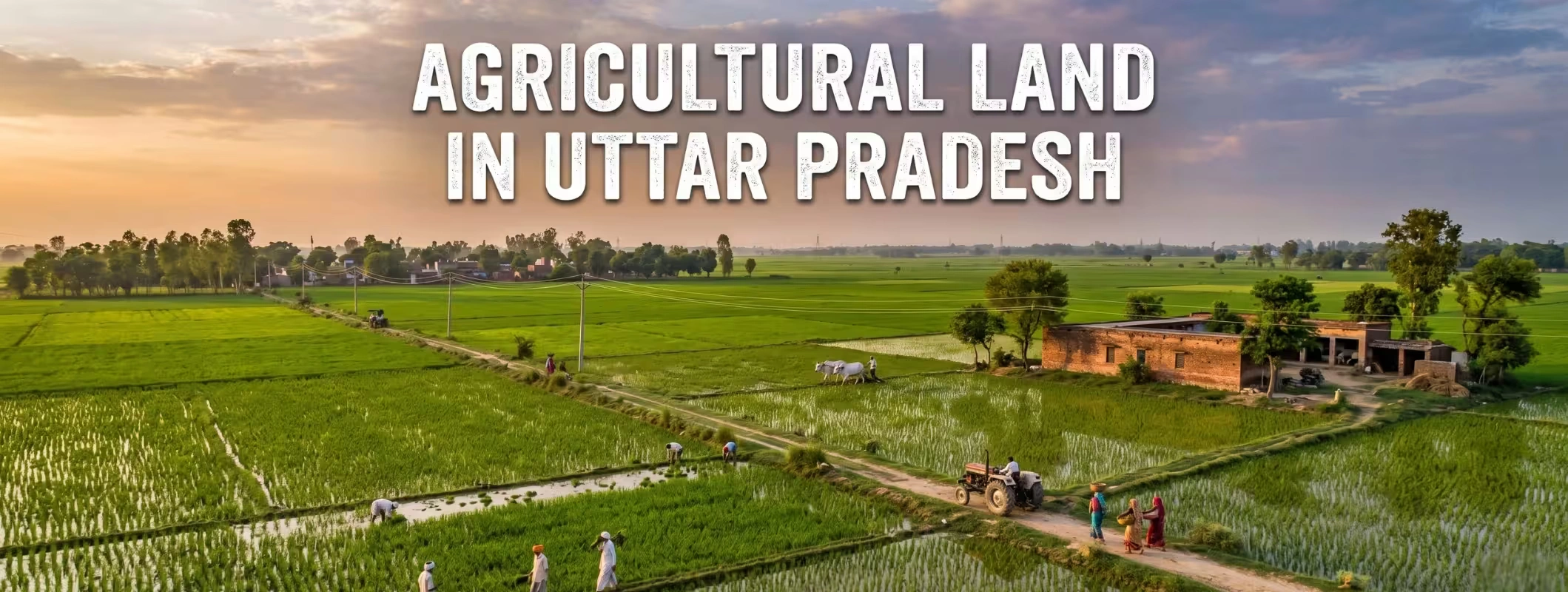 uttar pradesh land eligibility criteria