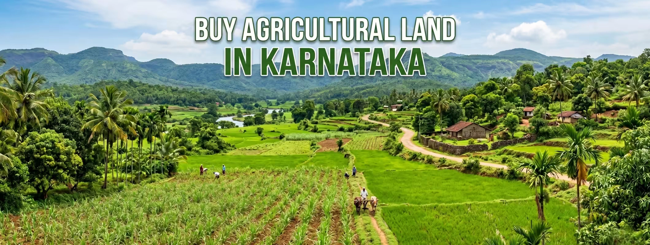 Buy Agricultural Land in Karnataka