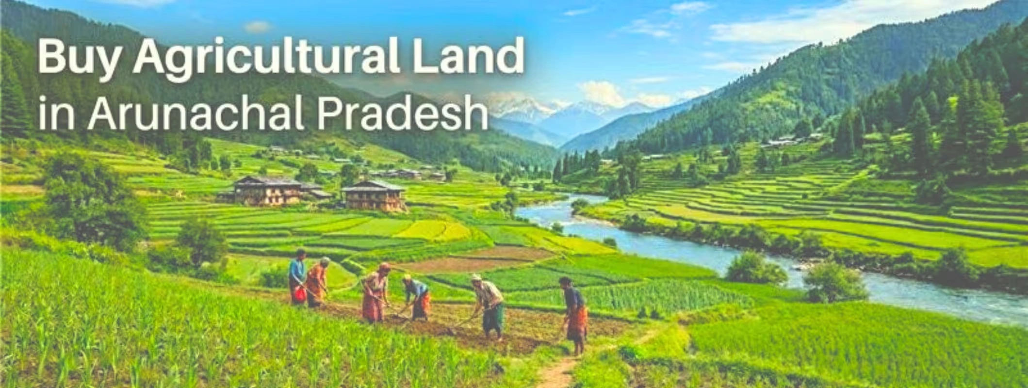 purchase land in arunachal pradesh