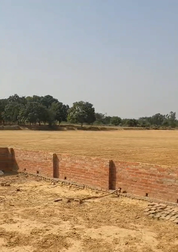 GXXF+CF6, Lohli, Uttar Pradesh, India