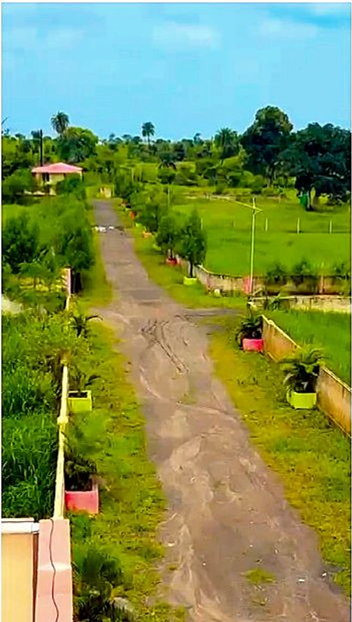 Dhamaniya, Madhya Pradesh 462030, India