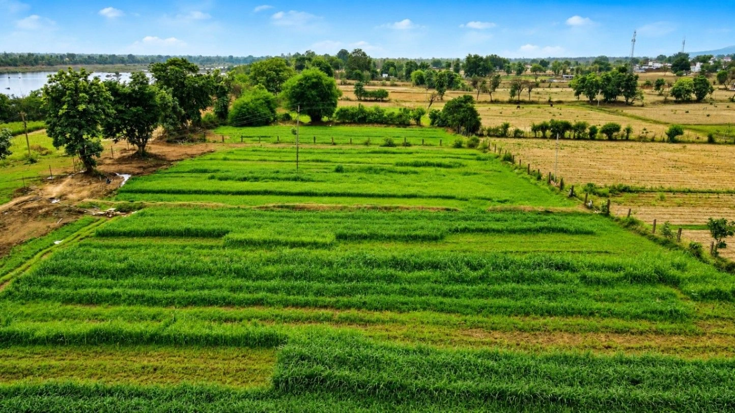 P2M4+7CQ, Panna, NH 39, Madhya Pradesh 488001, India