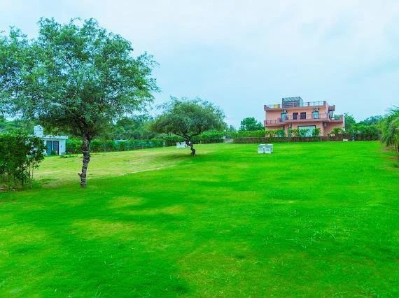 Raiseena, Haryana 122102, India
