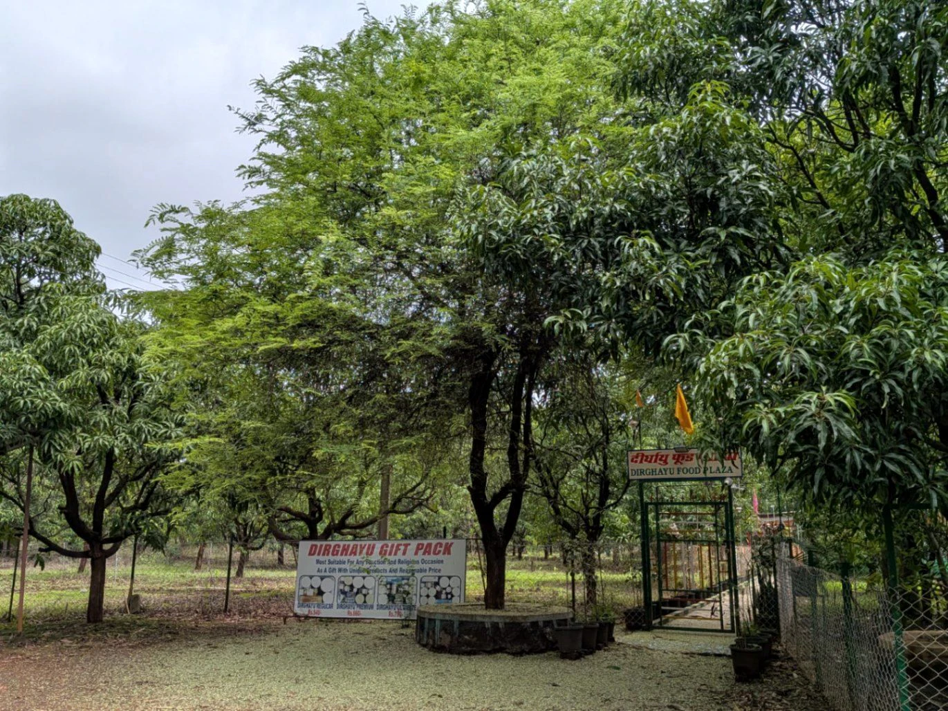 Bhatsa Dam Project Road At Post Birwadi, Shahapur, Birwadi, Maharashtra 421603, India
