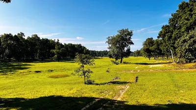5H2V+84 Pand, Sidhi, Madhya Pradesh, India preview 2
