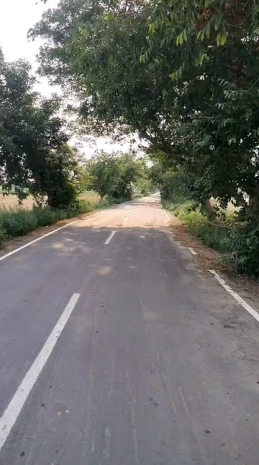 Mothuka, Faridabad, Haryana, India
