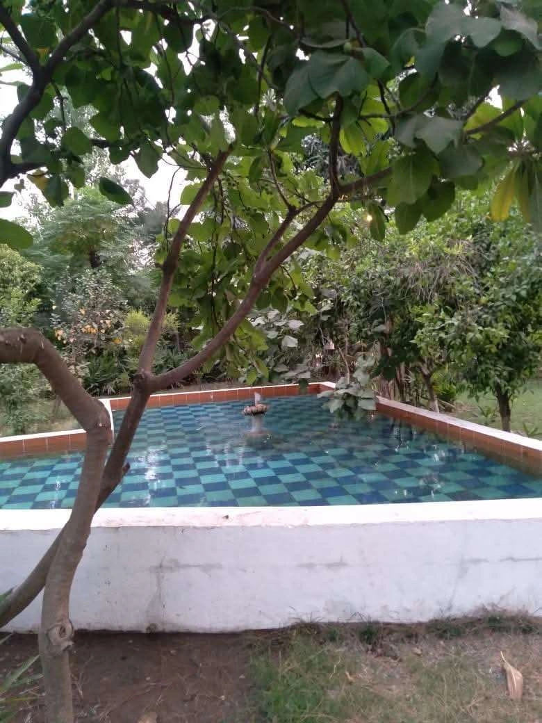Kambo, Punjab 143301, India