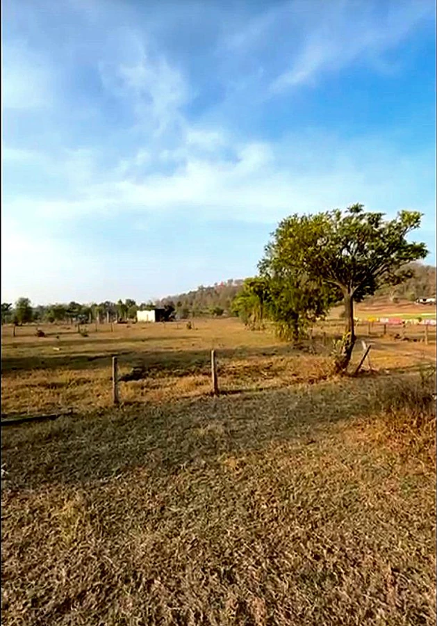 Dupadiya, Madhya Pradesh 462101, India