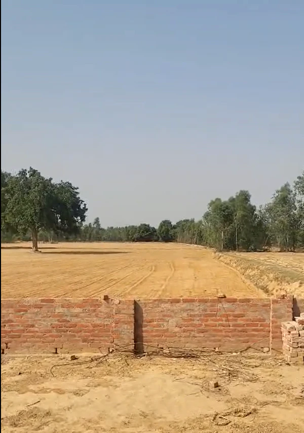 GXXF+CF6, Lohli, Uttar Pradesh, India