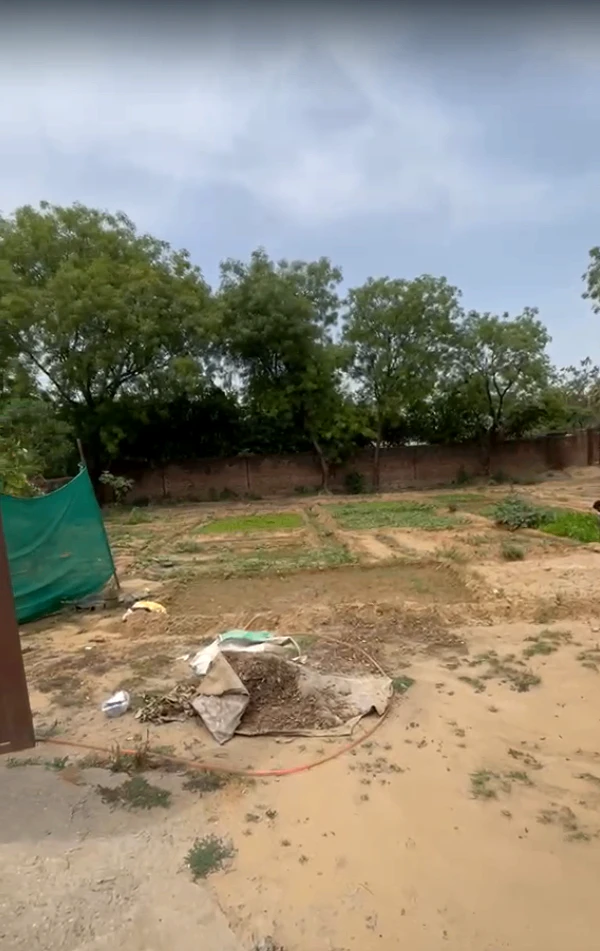 5, Green, Dera Mandi, New Delhi, Delhi 110074, India