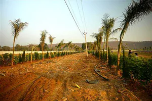 Naugaon, Rajasthan 301025, India preview 5