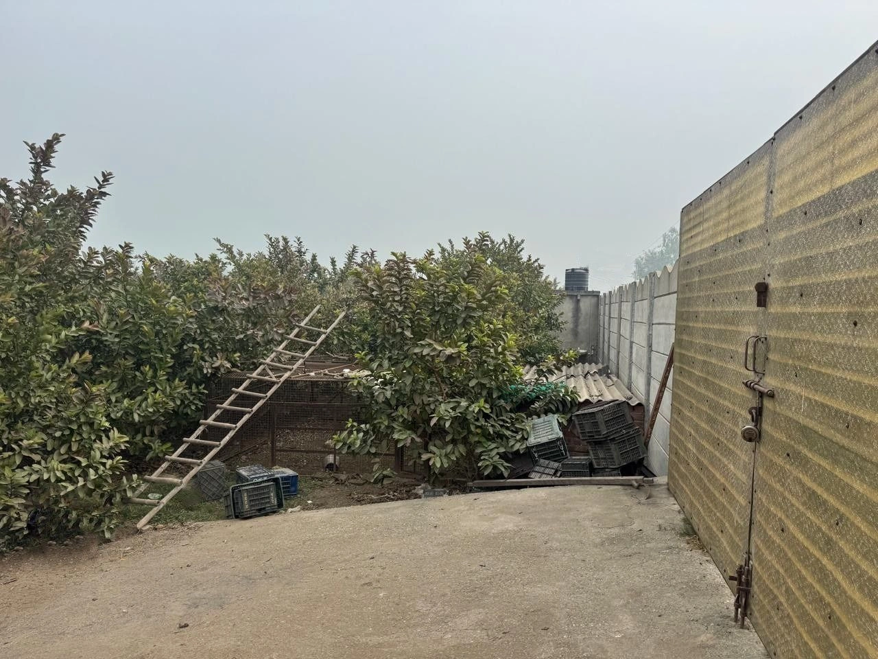 1387/3 Kurukshetra, Sector 30, Thanesar, Kurukshetra, Haryana 136118, India
