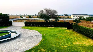 Naugaon, Rajasthan 301025, India preview 2