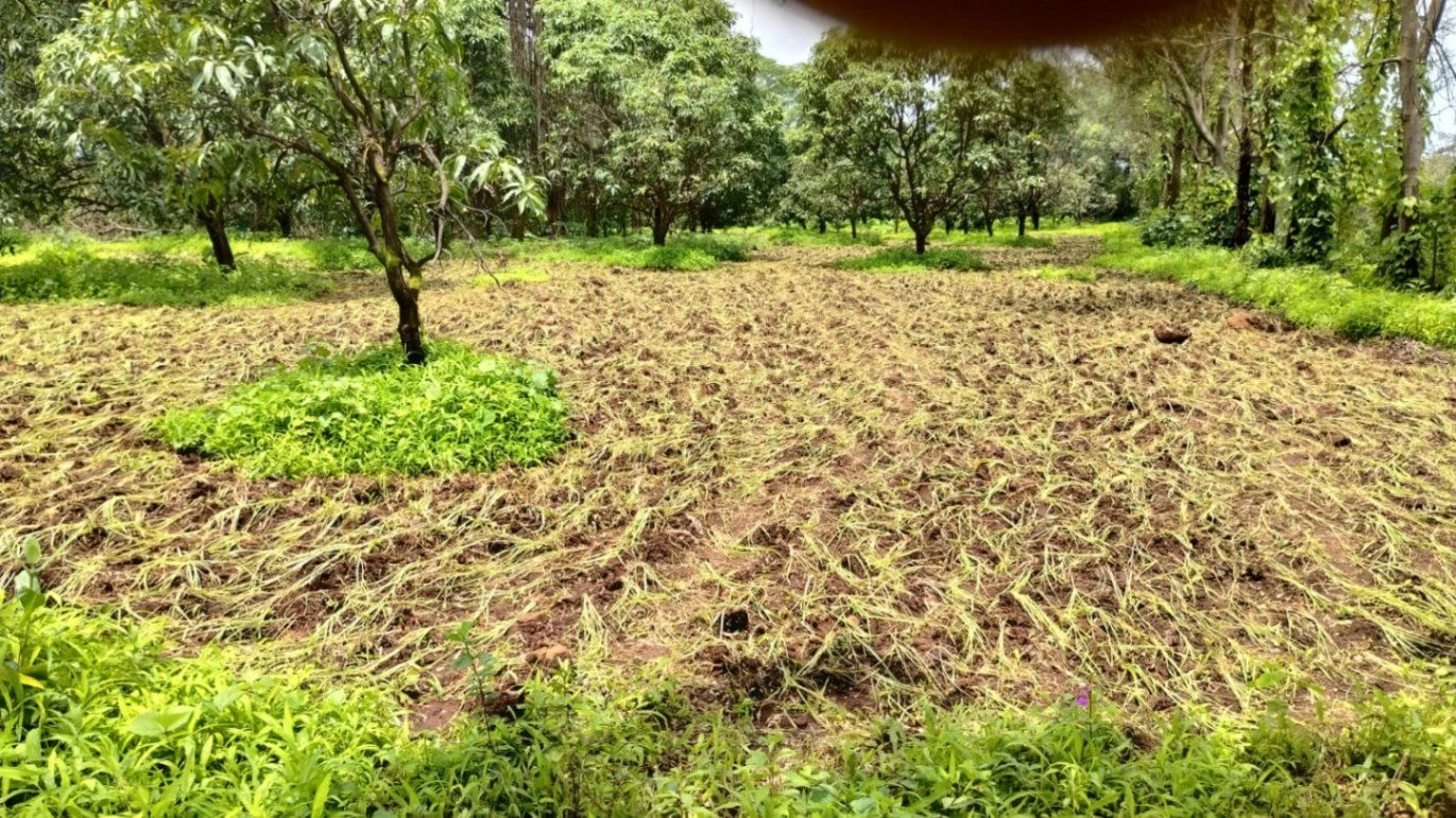 Bhatsa Dam Project Road At Post Birwadi, Shahapur, Birwadi, Maharashtra 421603, India