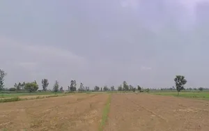 Pali, Uttar Pradesh 244304, India preview 3