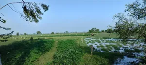Kumher, Rajasthan, India preview 5