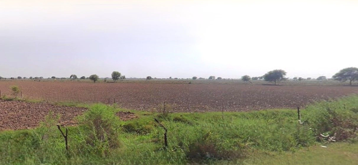 Gangoh, Uttar Pradesh 247341, India