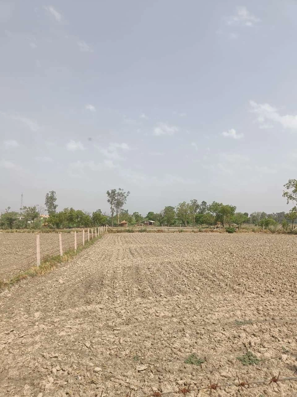 Aou, Rajasthan, India