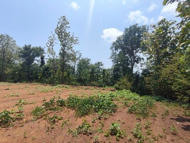 R6V2+8CF, Seethamount, Kerala 673579, India