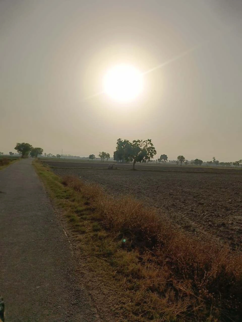 Tentigaon, Uttar Pradesh, India