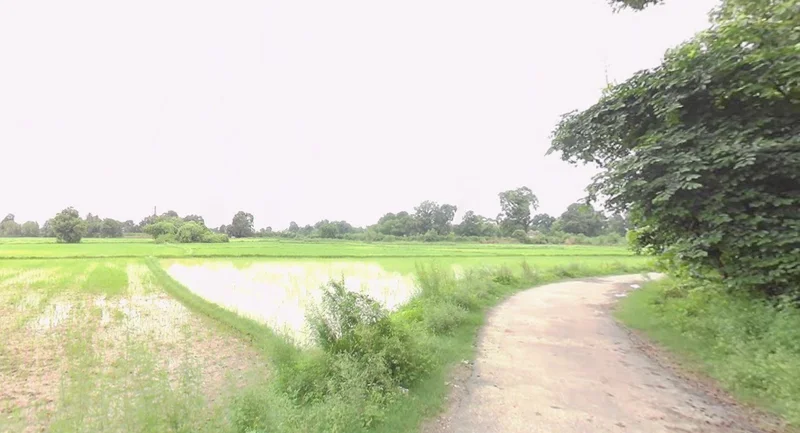 Sadalpur, Madhya Pradesh 454001, India preview 2