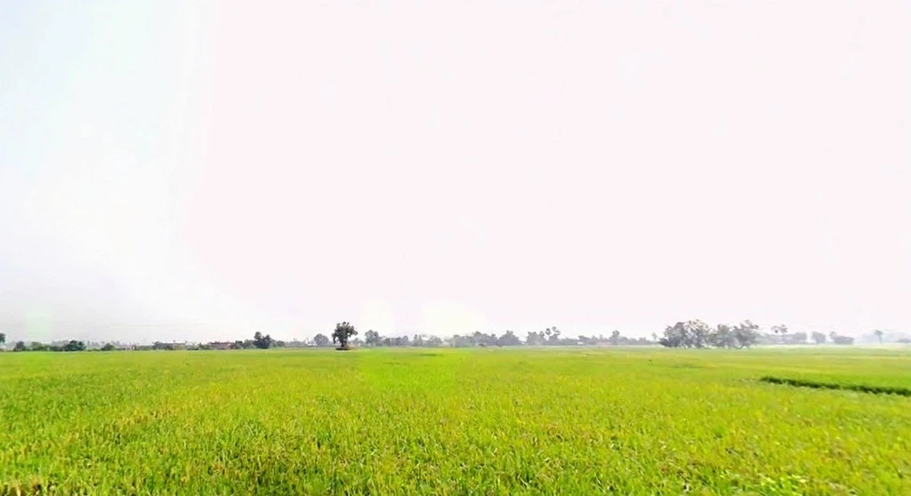 XPCV+CHH, Fullidumar Rd, Rata, Bihar 813207, India