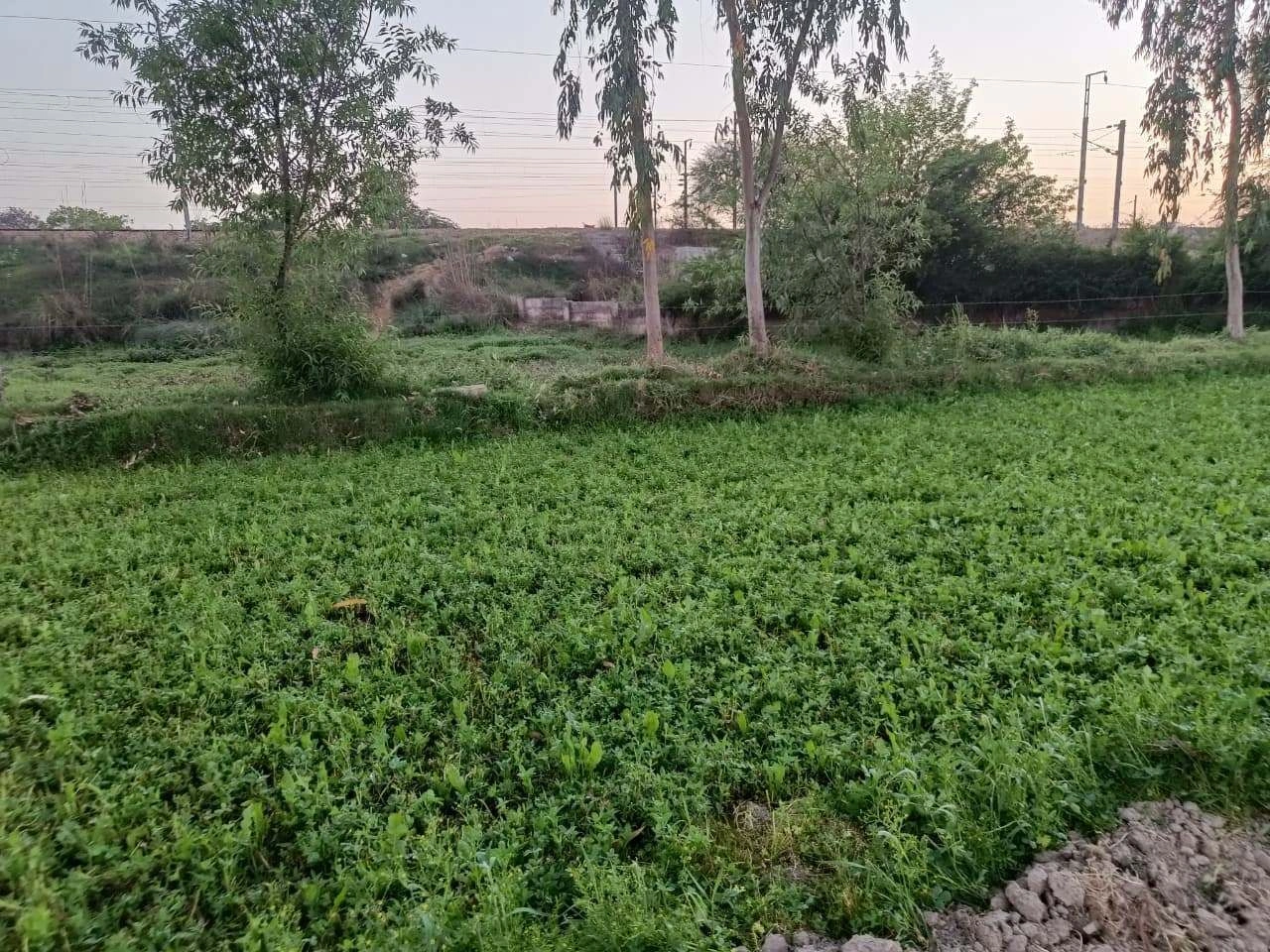 Gharwari, Rajasthan 321201, India preview 2