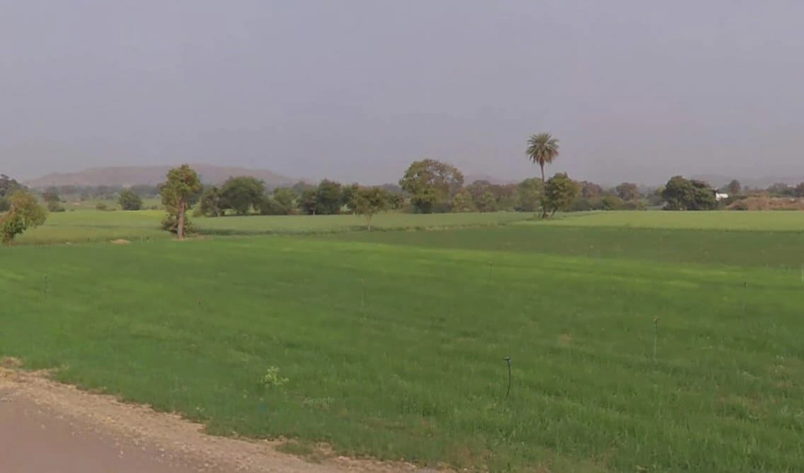 Ronsara, Madhya Pradesh 487330, India