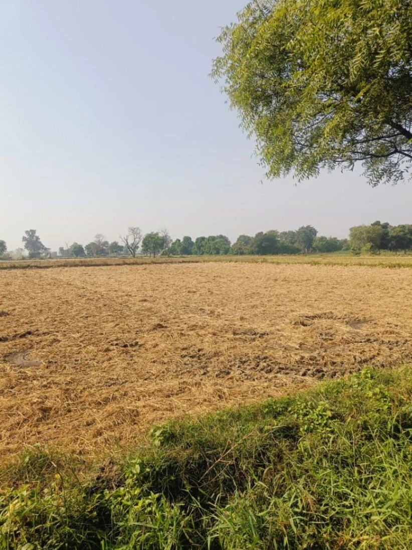 Barhana, Mathura, Uttar Pradesh, India - Photo 2