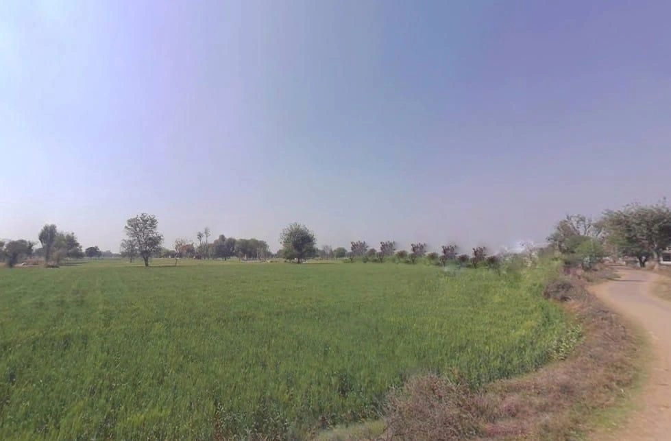 Bahadurpur, Rajasthan 301409, India