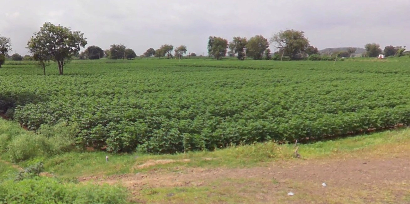 Borawan, Madhya Pradesh 451228, India