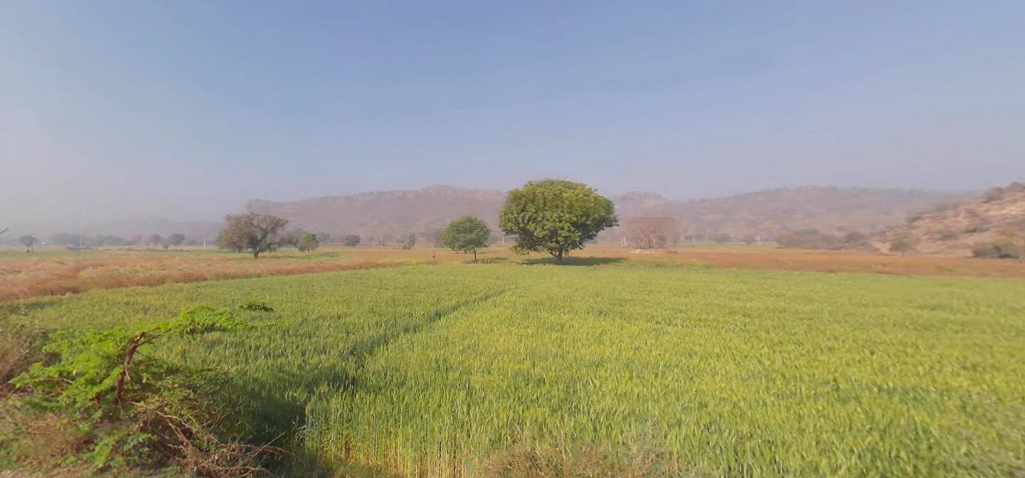 Seetal, Rajasthan 301021, India