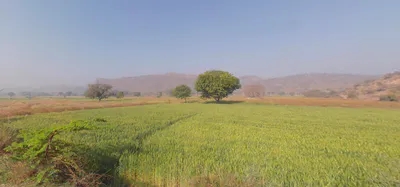 Seetal, Rajasthan 301021, India preview 2