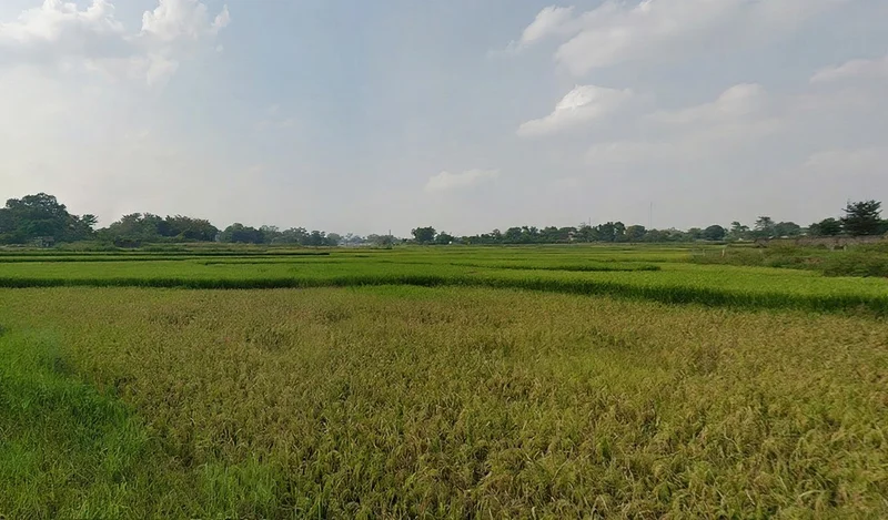 9CHP+CJ, Tatisilwai, Jharkhand 835103, India preview 3